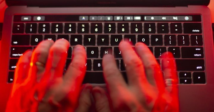 U.S. college student to plead guilty in hack reportedly tied to PowerSchool – National