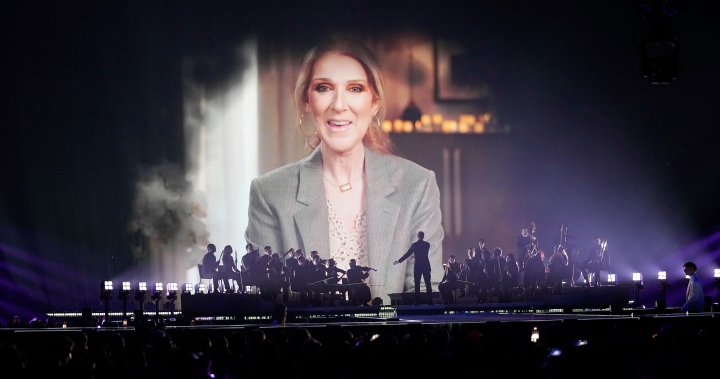 Celine Dion’s jet spotted in Basel amid Eurovision contest: report