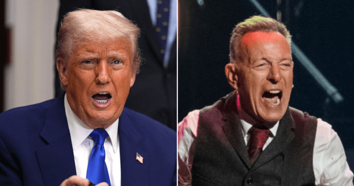 ‘Dumb as a rock’: Trump fires back at ‘obnoxious jerk’ Bruce Springsteen – National