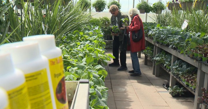 Home gardening sees surge in popularity
