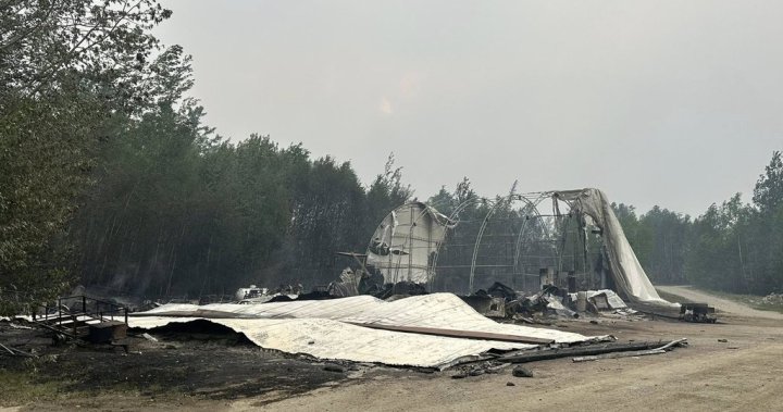 Saskatchewan wildfires have forced 15,000 evacuations and counting: premier