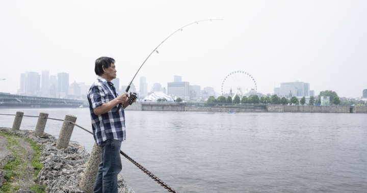 Air quality alerts ease across much of Quebec and Ontario after days of haze