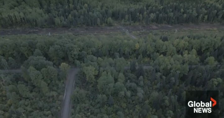 Nisga’a-owned LNG pipeline wins key approval as BC Greens, other First Nations push back